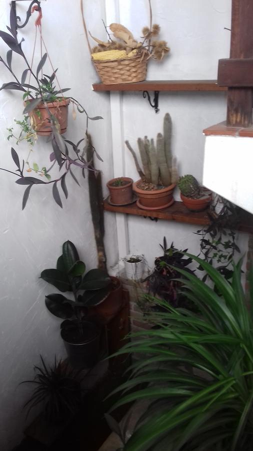 Osteria Alle Risorgive Codroipo Buitenkant foto